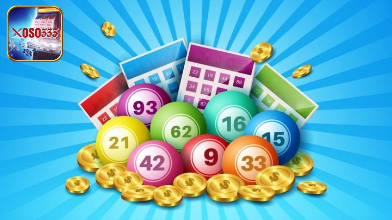 Đánh giá và phản hồi của người dùng